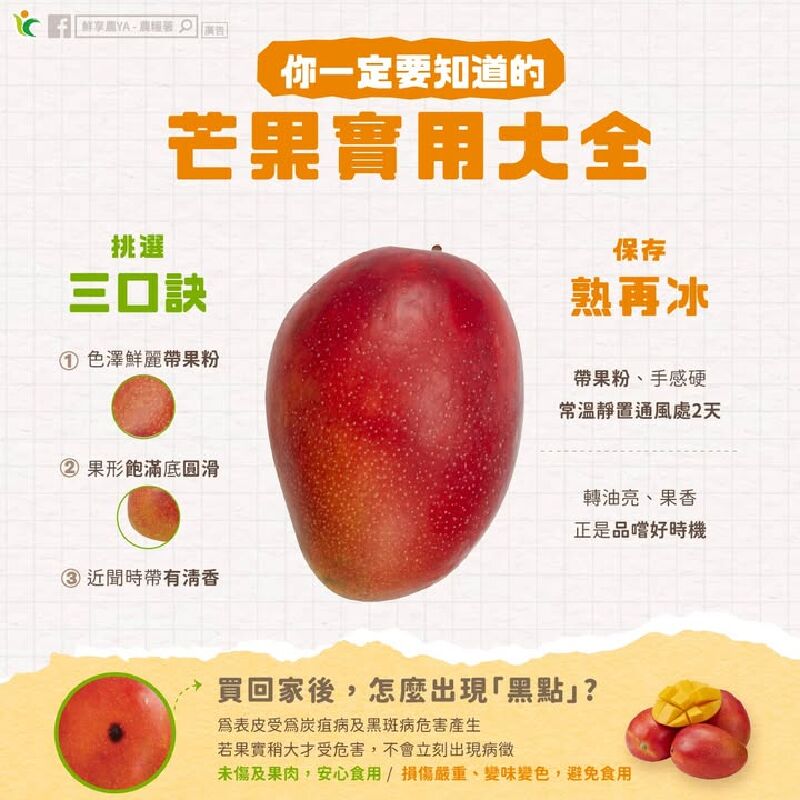 🥭芒果實用大全
