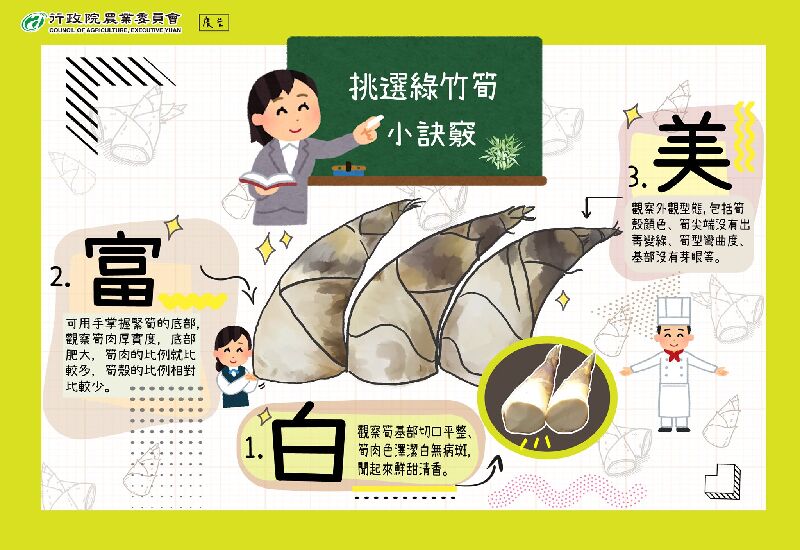 綠竹筍怎麼挑 選「白富美」就沒錯！