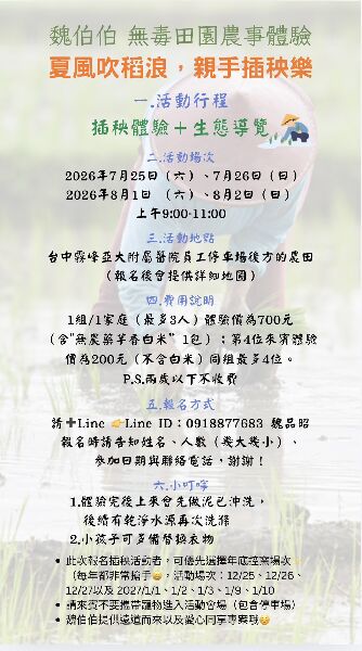 夏風吹稻浪，親手插秧樂