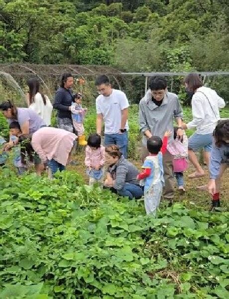 鄉村休閒農場