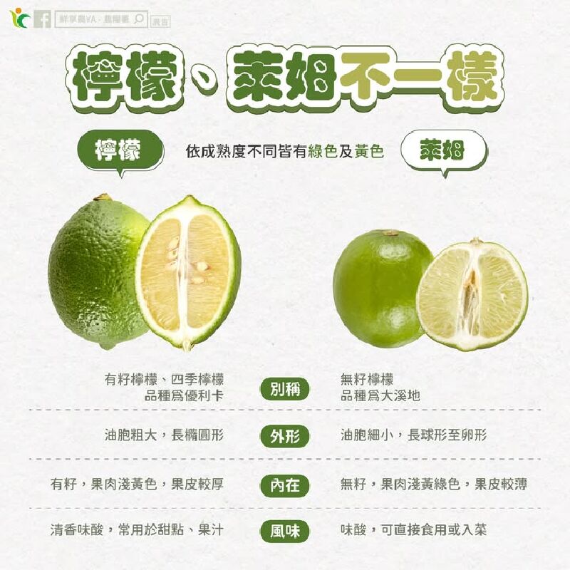 檸檬、萊姆不一樣