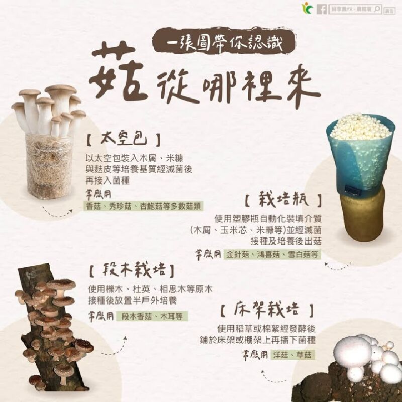 一張圖帶你認識 菇從哪裡來