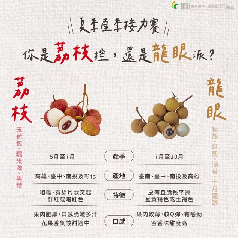 你是荔枝控，還是龍眼派？