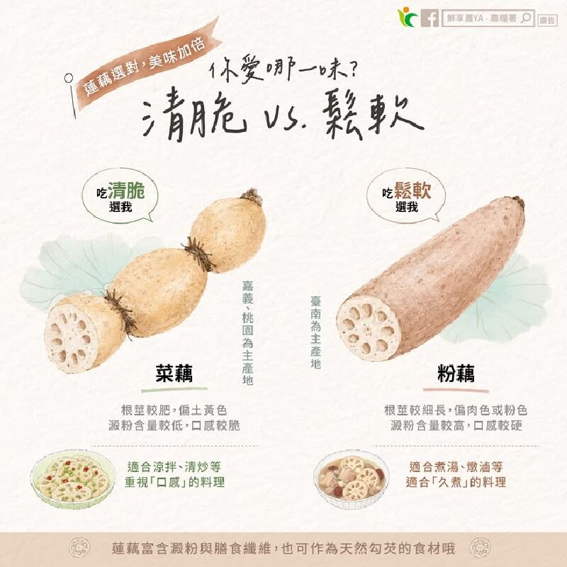 蓮藕選對 美味加倍！你愛哪一味？
