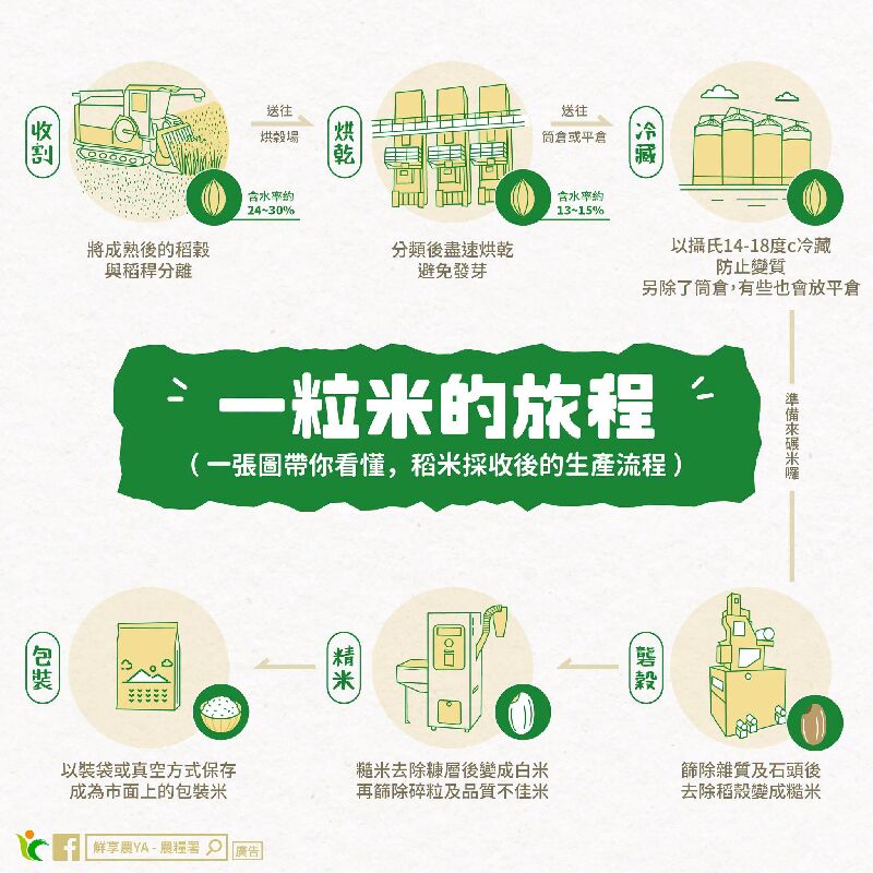 一粒米的旅程
