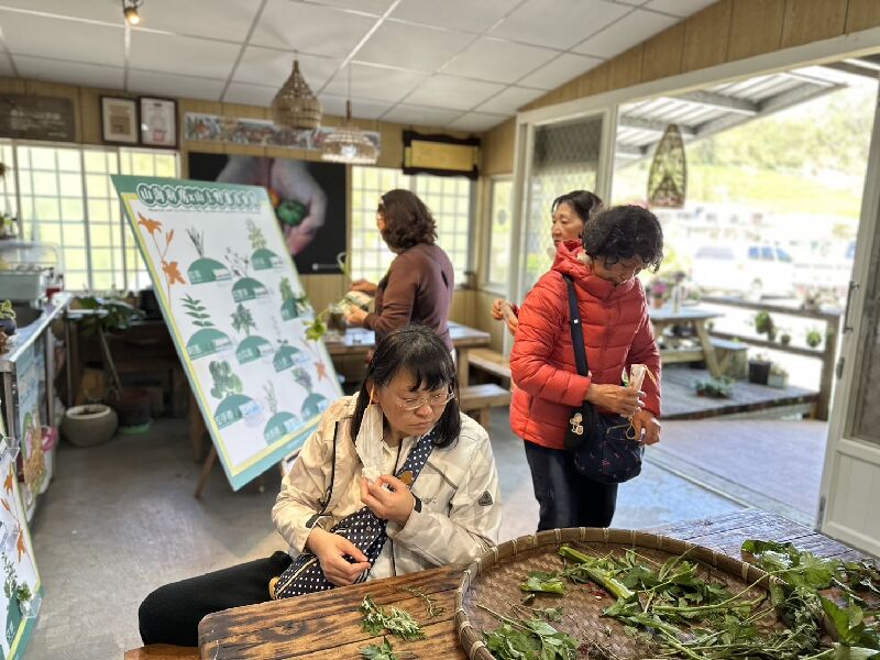 沂峰生態農莊｜五感體驗與客家風情農莊巡禮