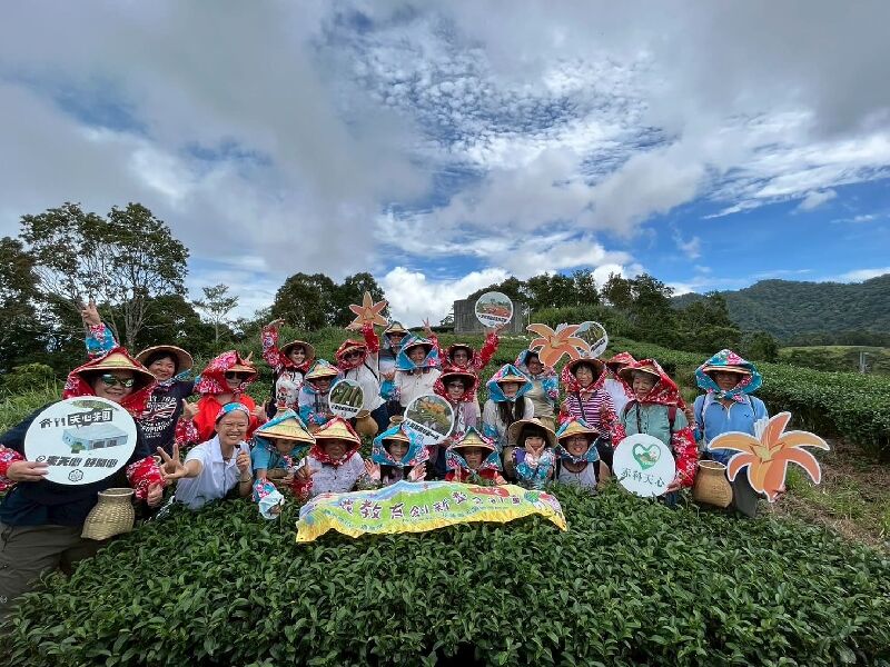 赤科山天心茶莊｜赤科山賞金針花與茶職人手作農家體驗