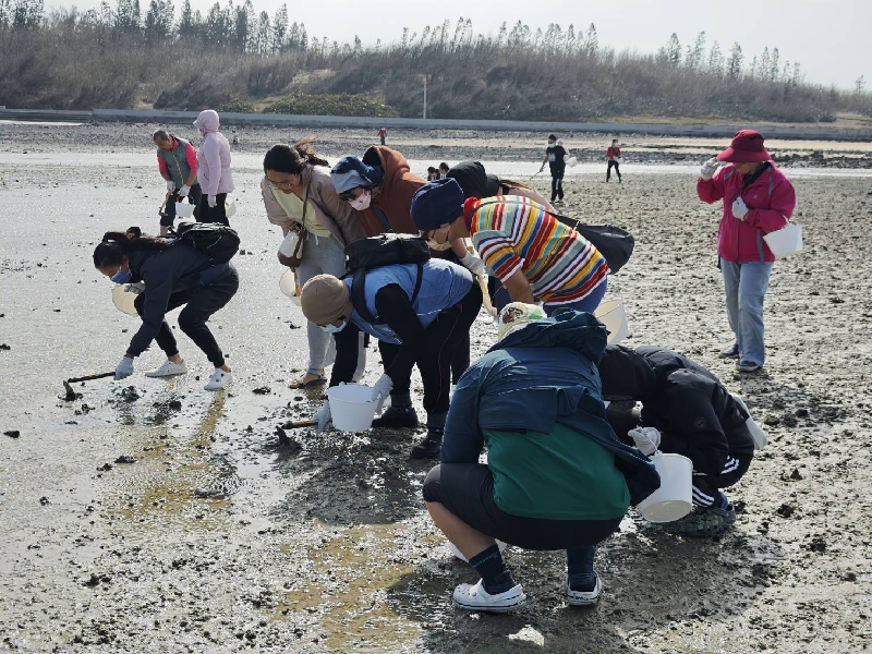 湖西鄉「山海食旅」生態體驗