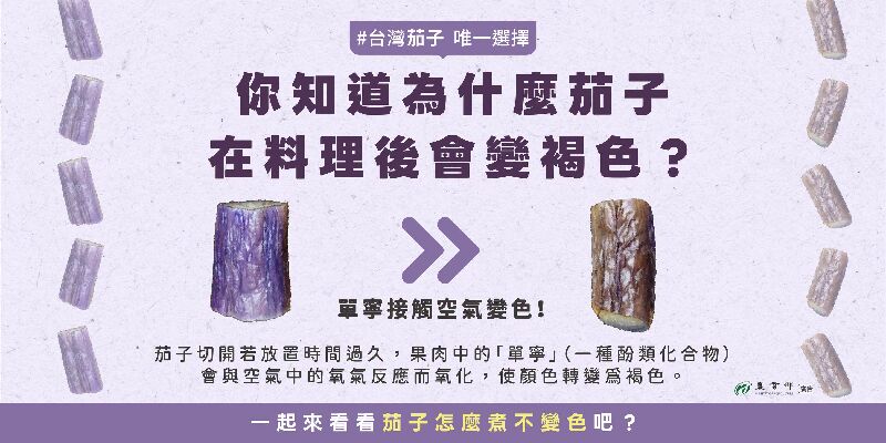 茄子營養又好吃，但為什麼會越煮越黑？