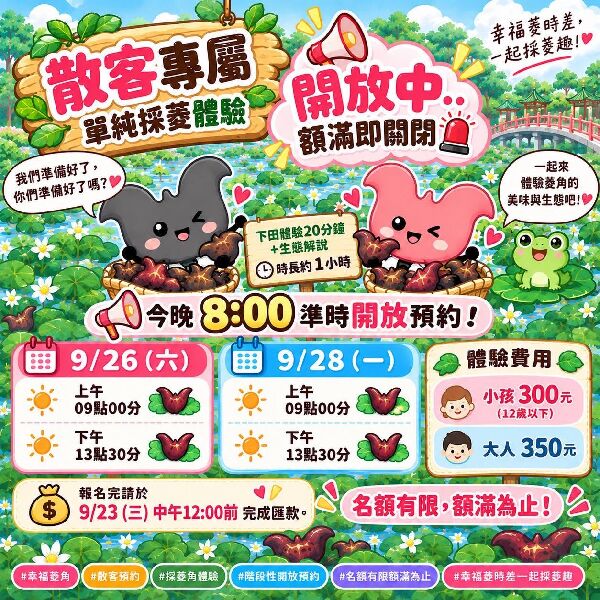 官田傳承幸福菱角｜採菱體驗