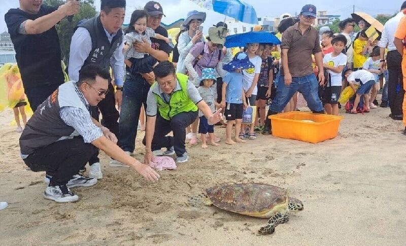 澎湖農漁局配合世界海龜日，16日在嵵裡海灘野放7隻保育海龜重返大海，以行動落實海洋生態保育，近30年來已野放400餘隻保育海龜。