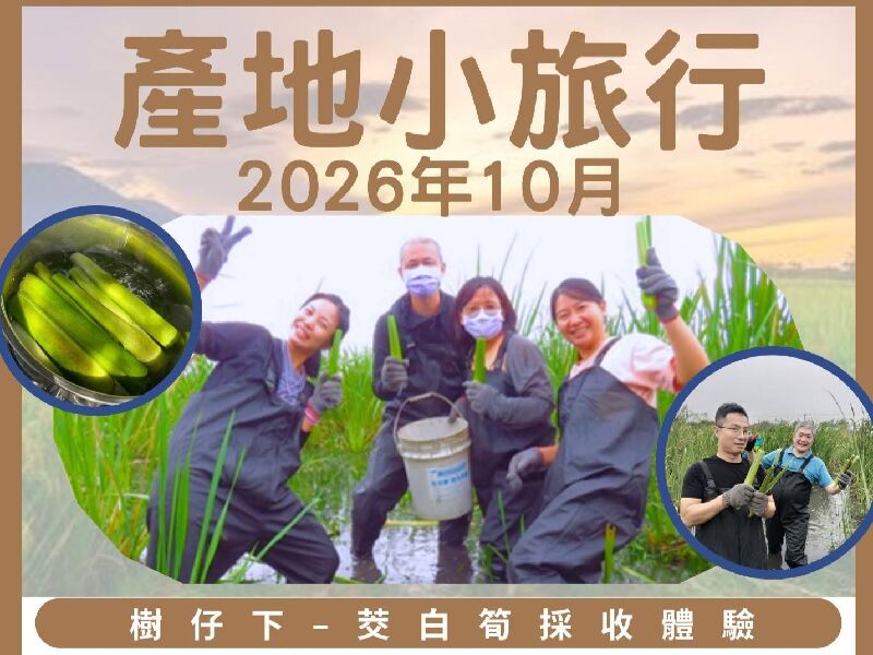 宜大神農市集產地小旅行｜樹仔下-茭白筍採收體驗