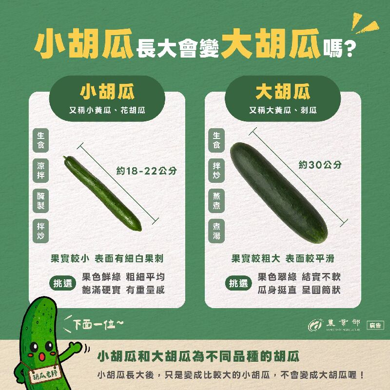 小胡瓜長大後，會變成大胡瓜嗎？