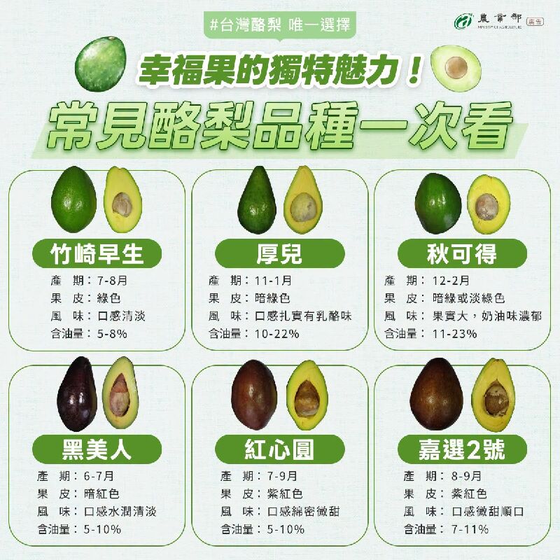 幸福果的獨特魅力！台灣常見酪梨品種懶人包