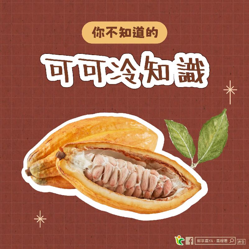 你不知道的可可冷知識