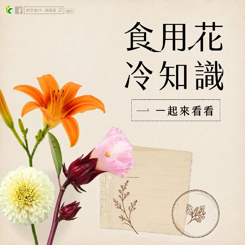 食用花冷知識