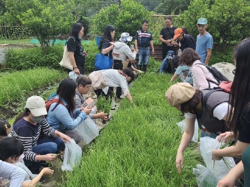 珠蔥小旅行