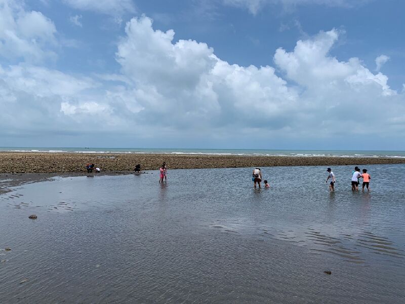 濱海生態導覽