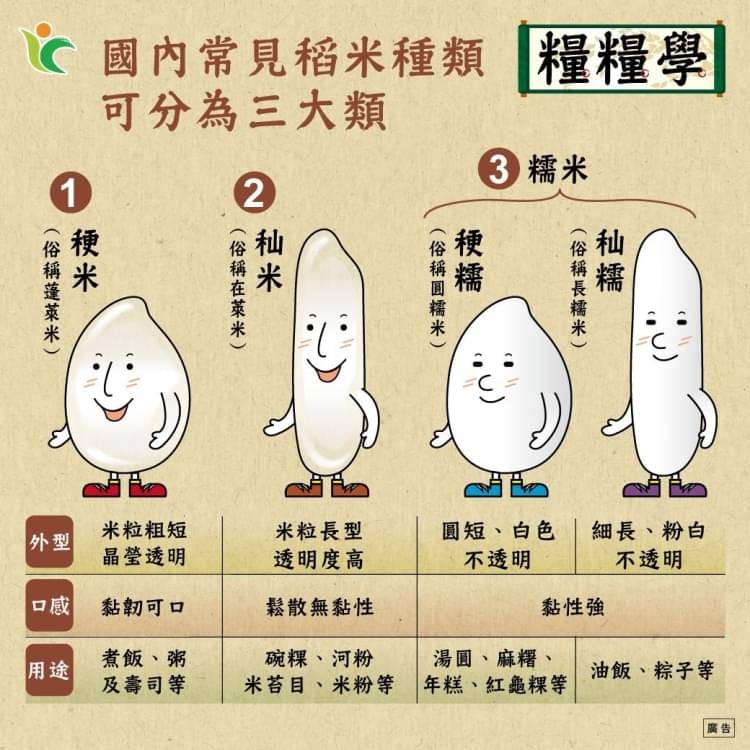 糧糧學-國內常見稻米種類