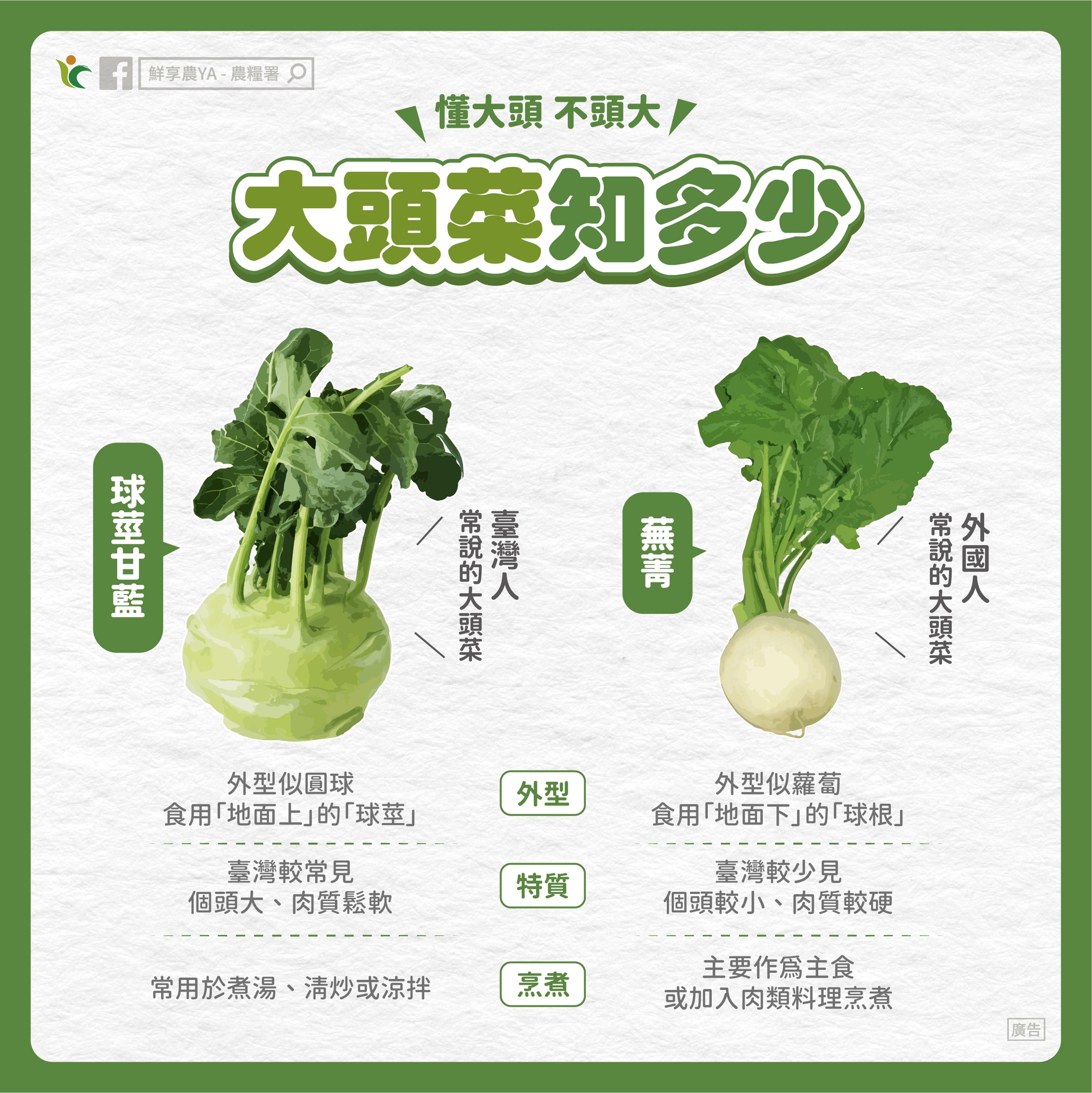 懂大頭，不頭大，「大頭菜」知多少