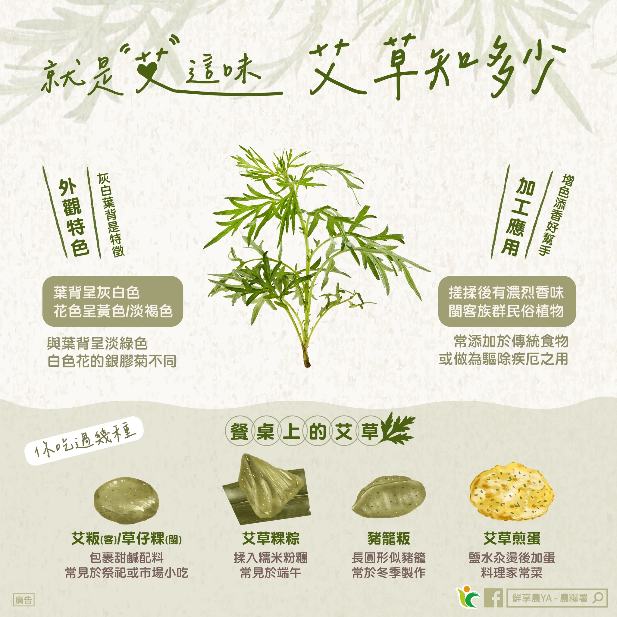 就是「艾」這味，「艾草」知多少