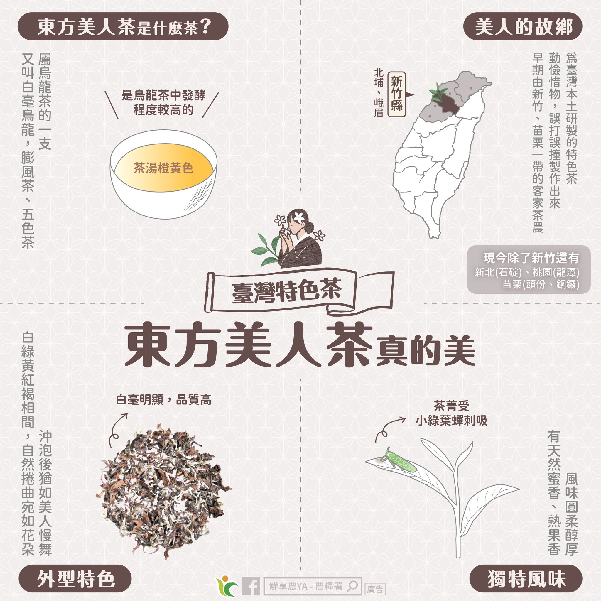 臺灣特色茶-東方美人茶真的美