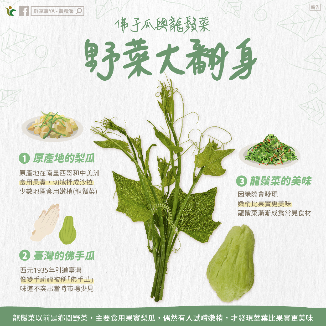 佛手瓜與龍鬚菜，野菜大翻身