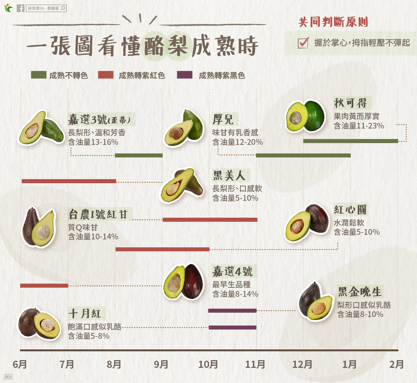 一張圖看懂酪梨成熟時