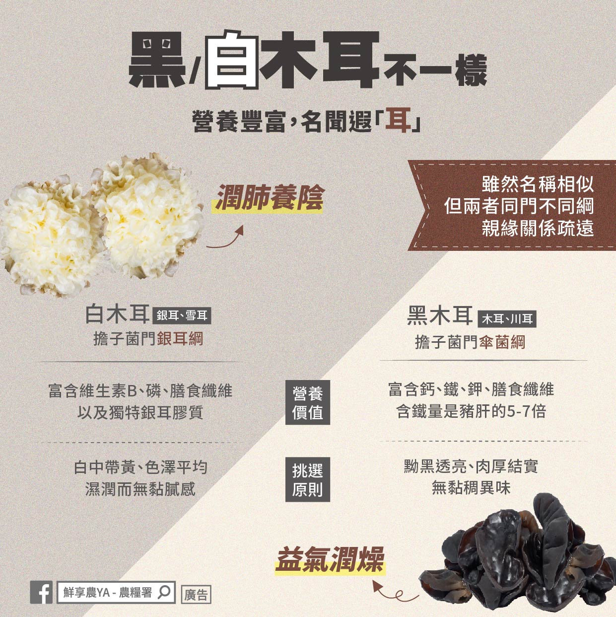 黑白木耳不一樣