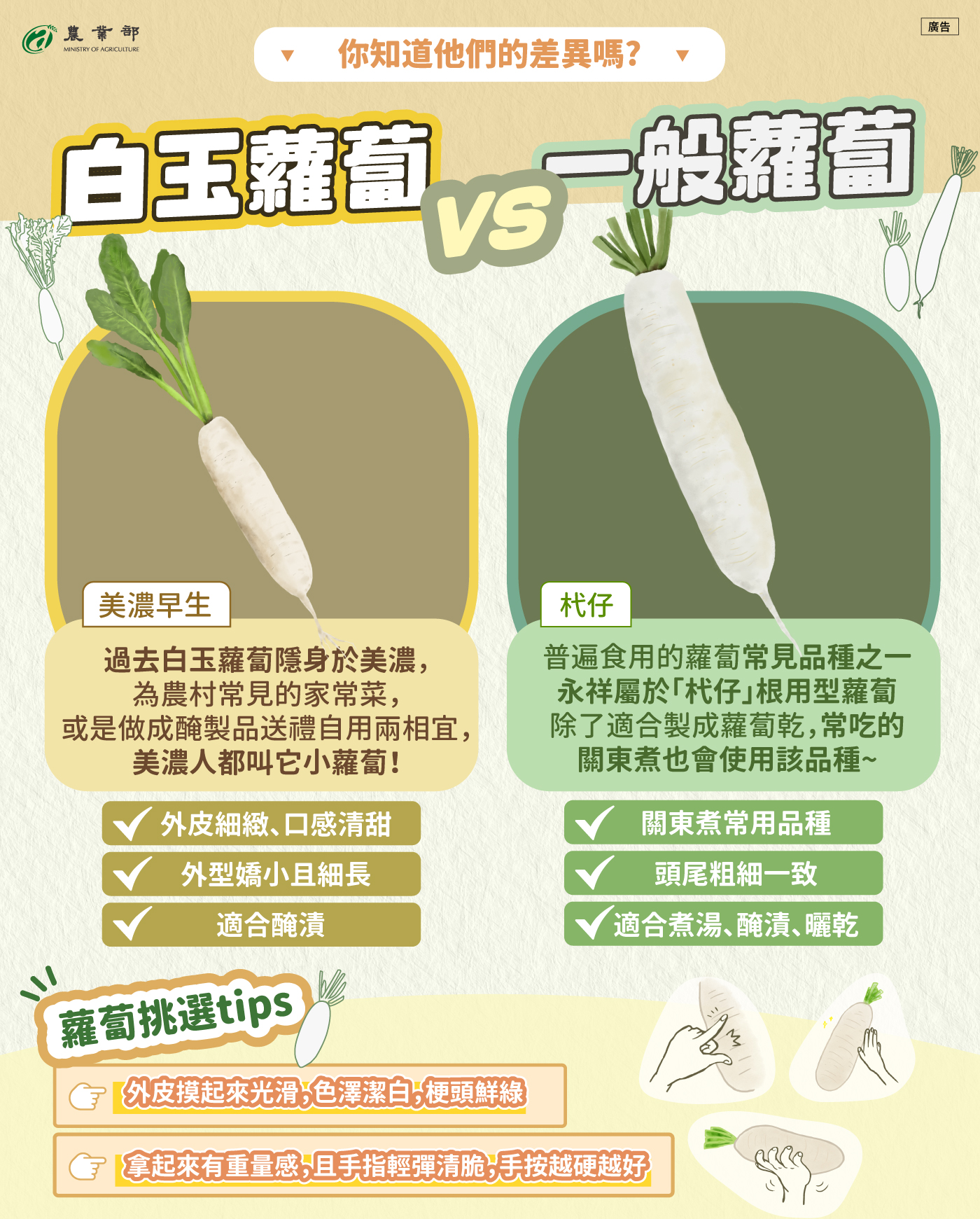 白玉蘿蔔VS永祥蘿蔔