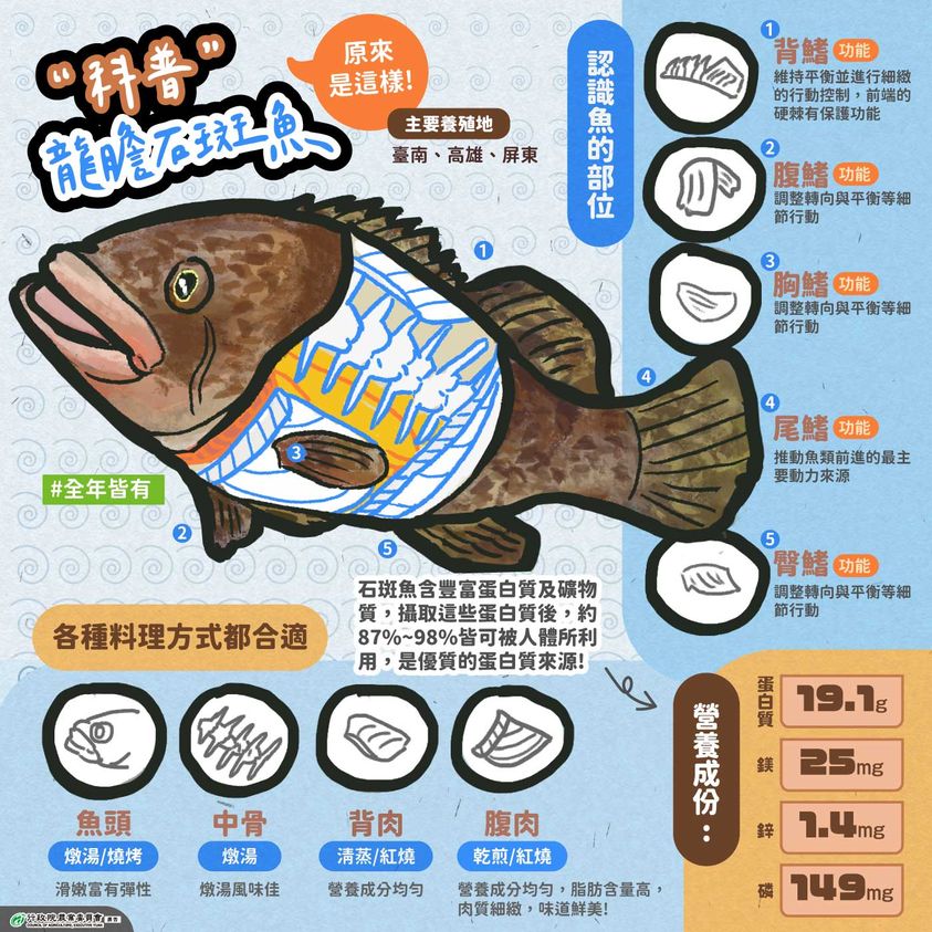 0724科普石斑魚