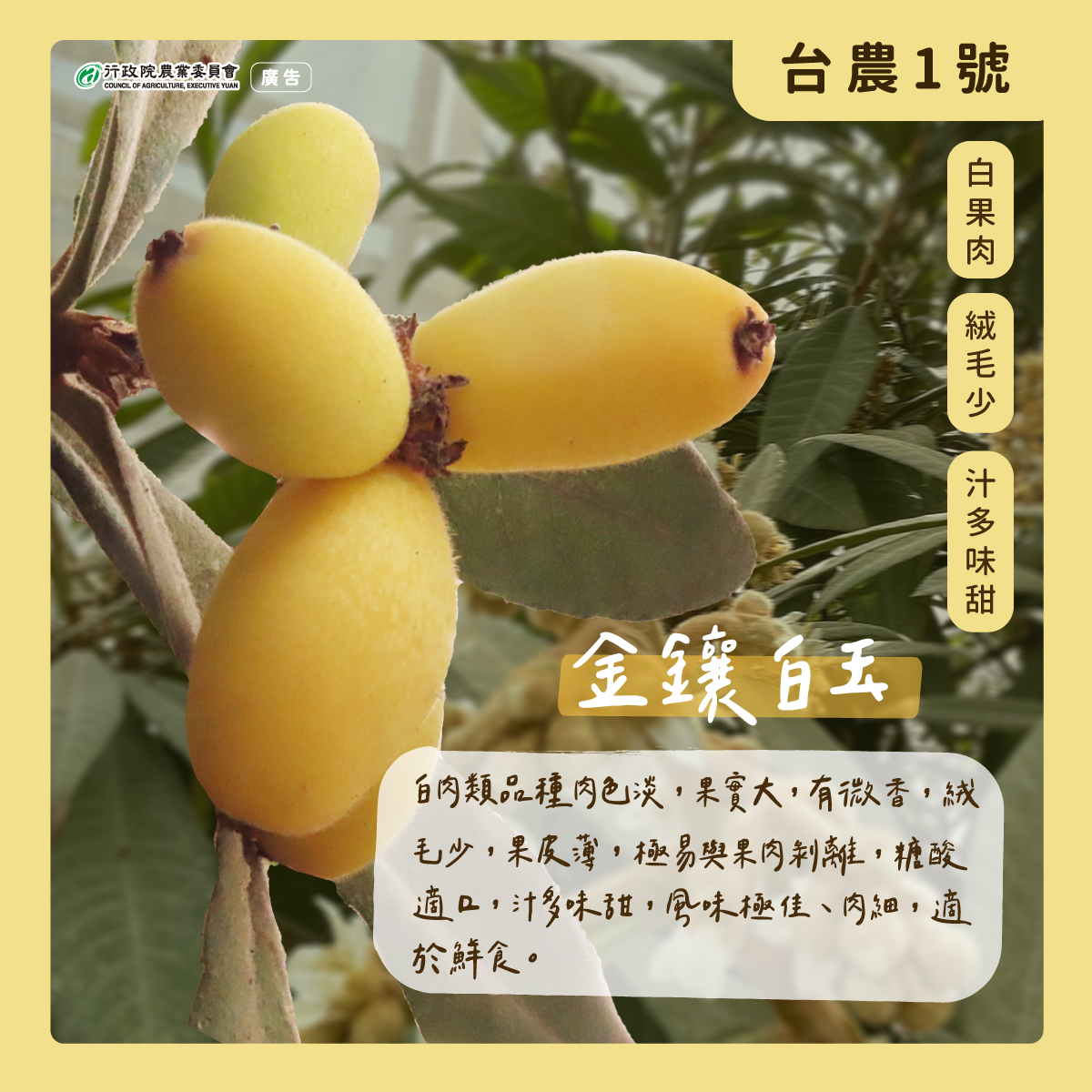 2.金鑲白玉