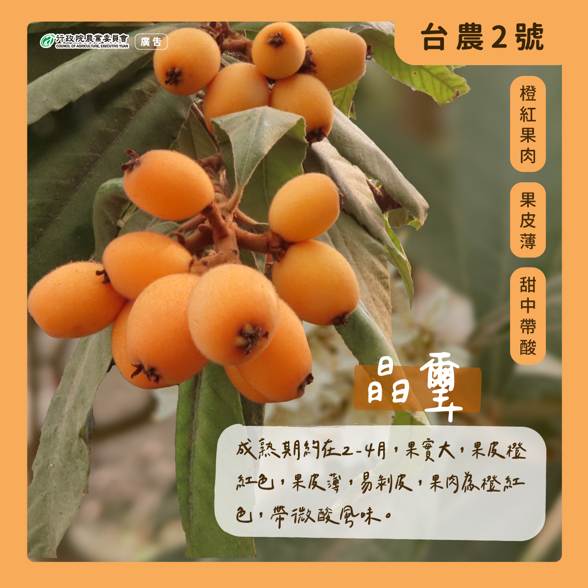 2.晶璽