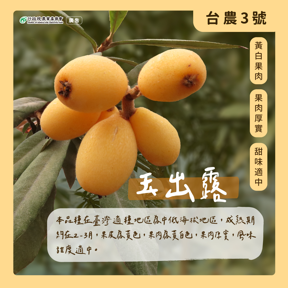 3.玉出露