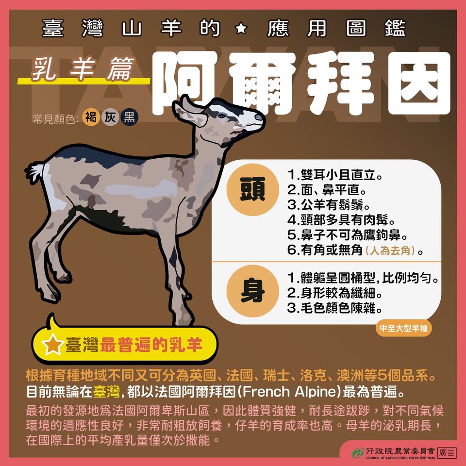 3.阿爾拜因