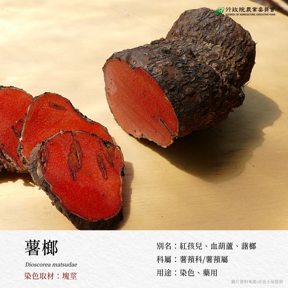 3.薯榔