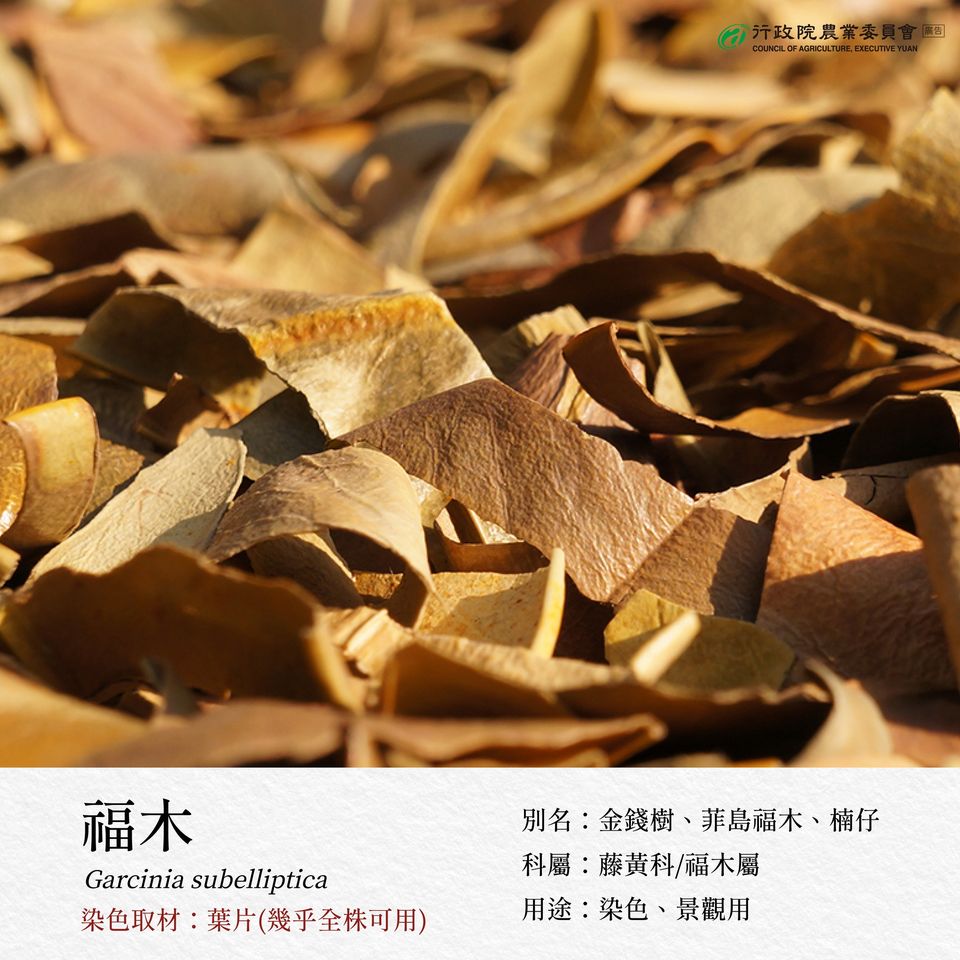 4.福木
