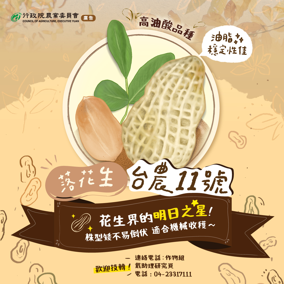 花生界的新星-台農11號