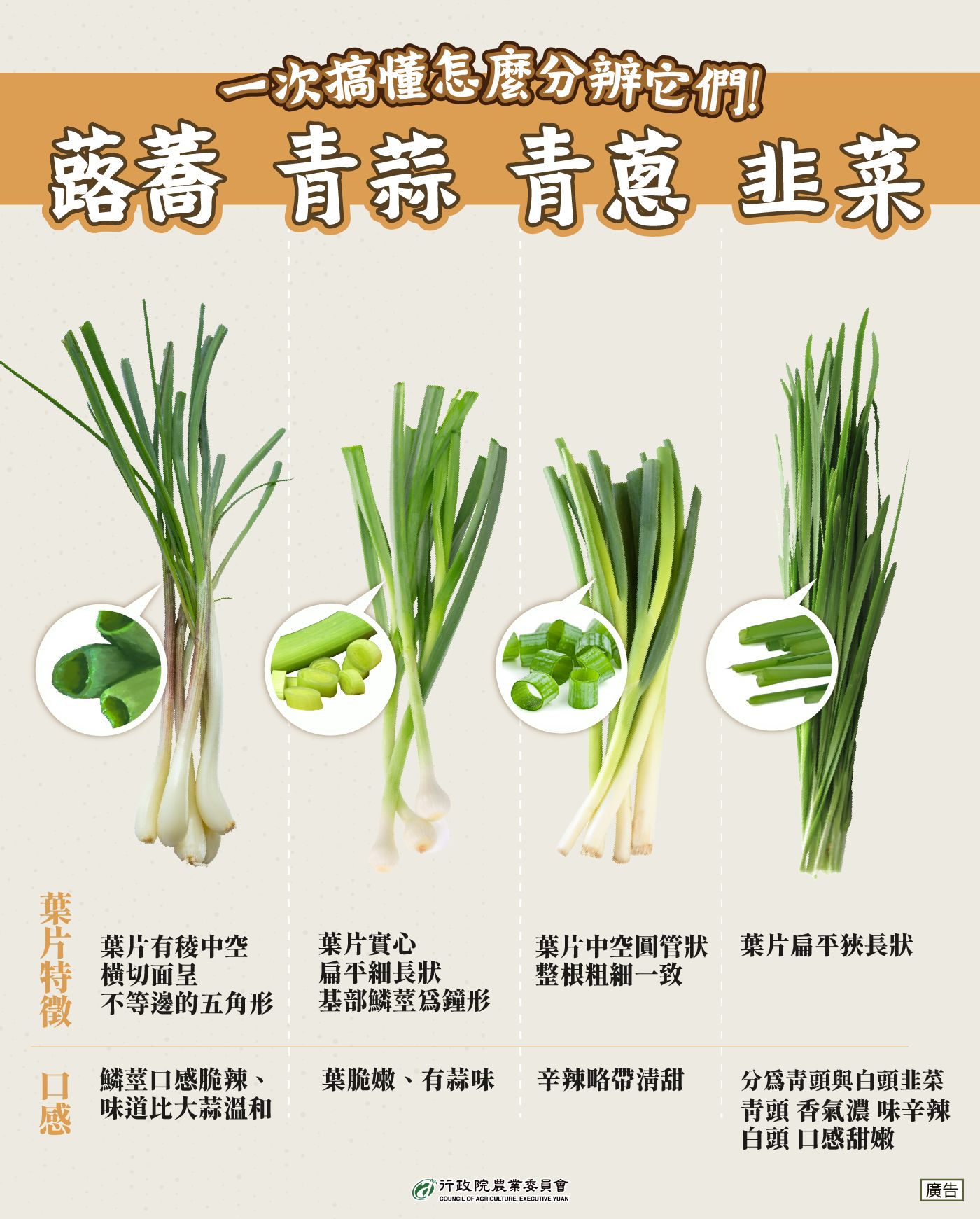 蕗蕎、青蒜、青蔥、韭菜這樣分辨！