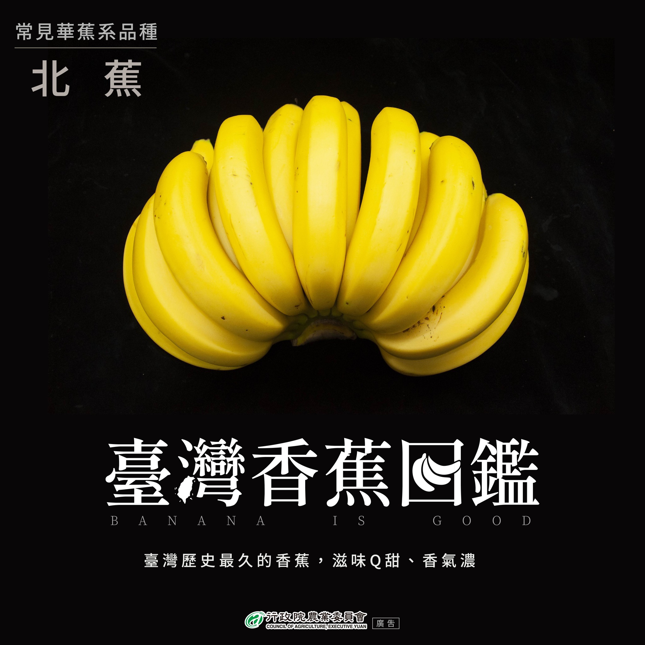 1.北蕉