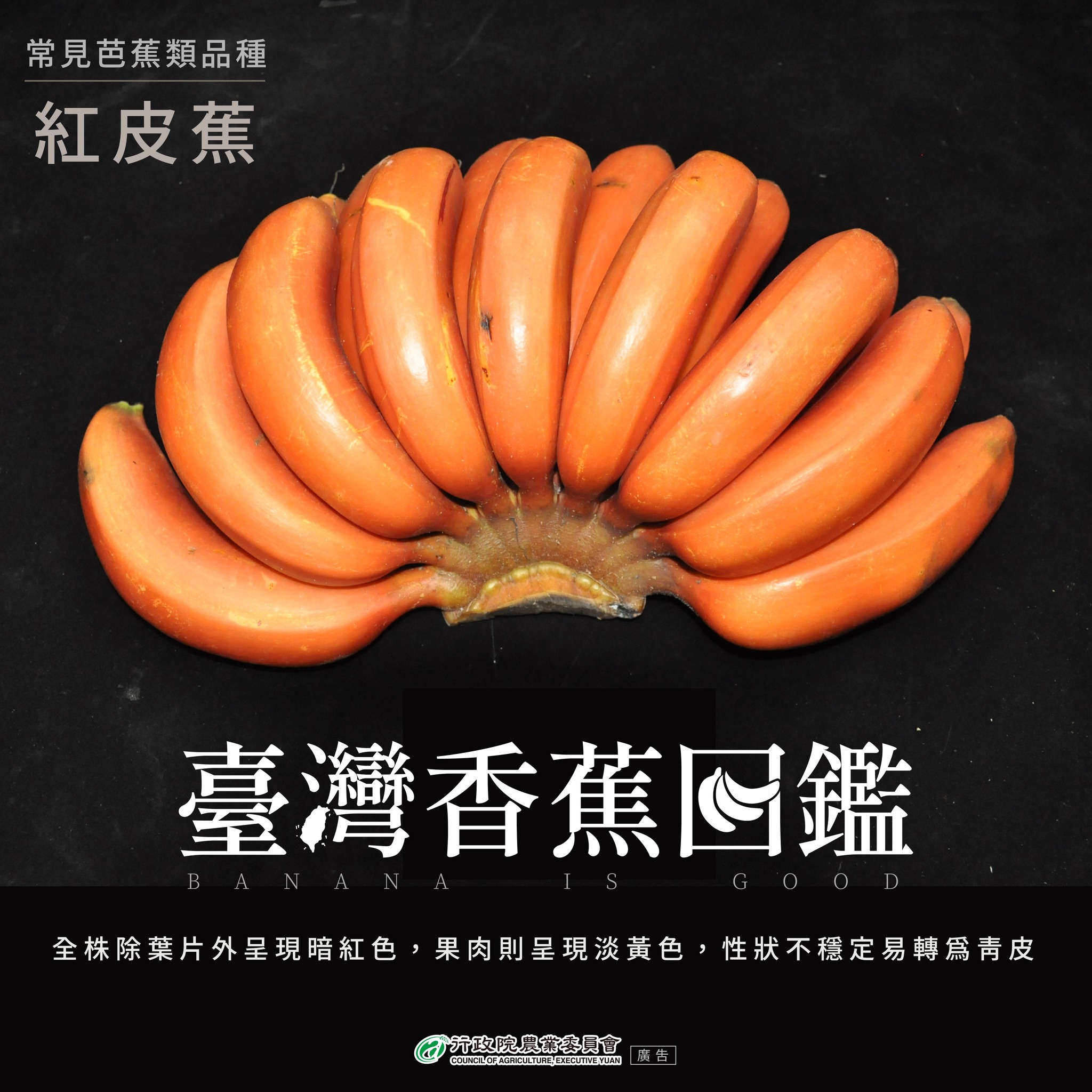 4.紅皮蕉