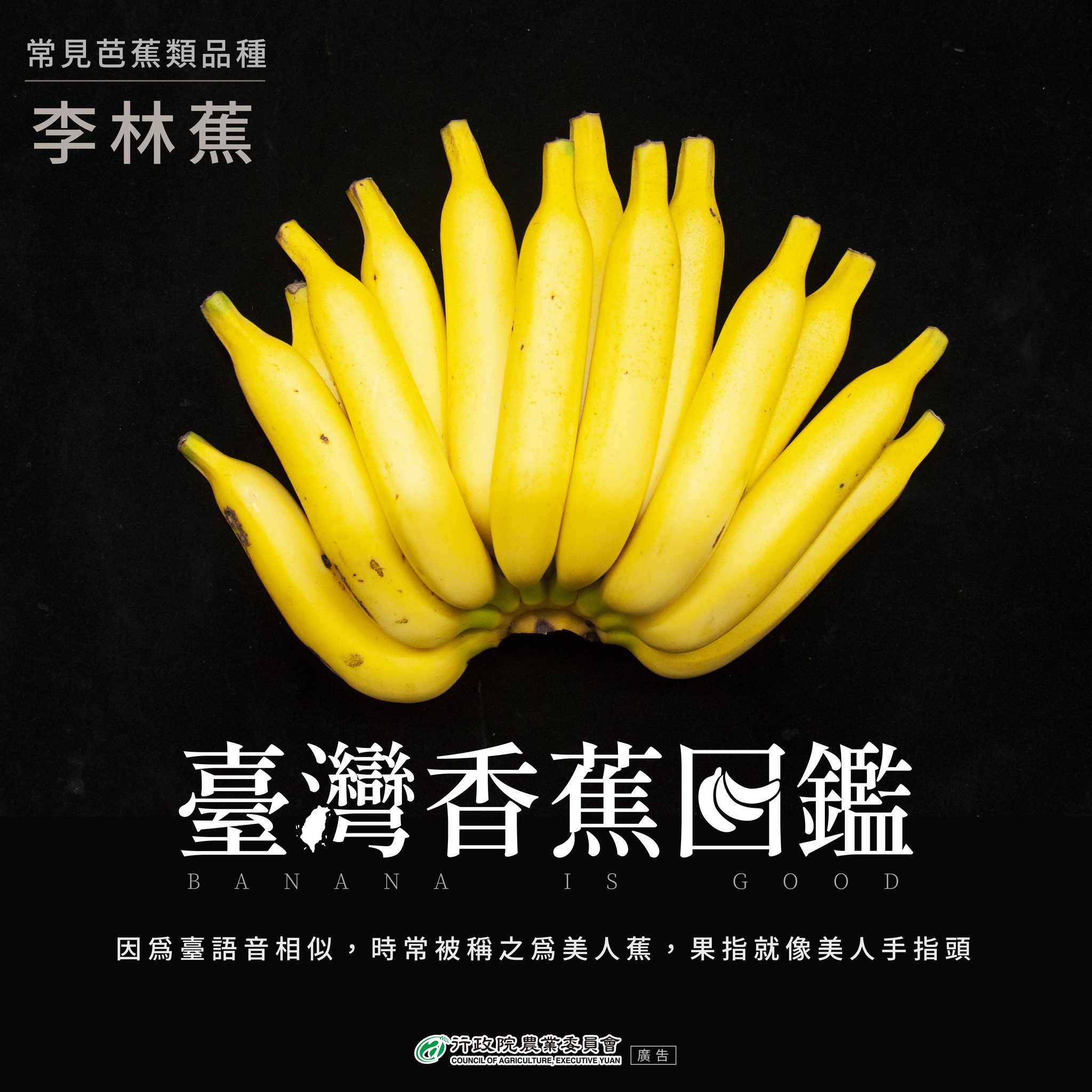 8.李林蕉