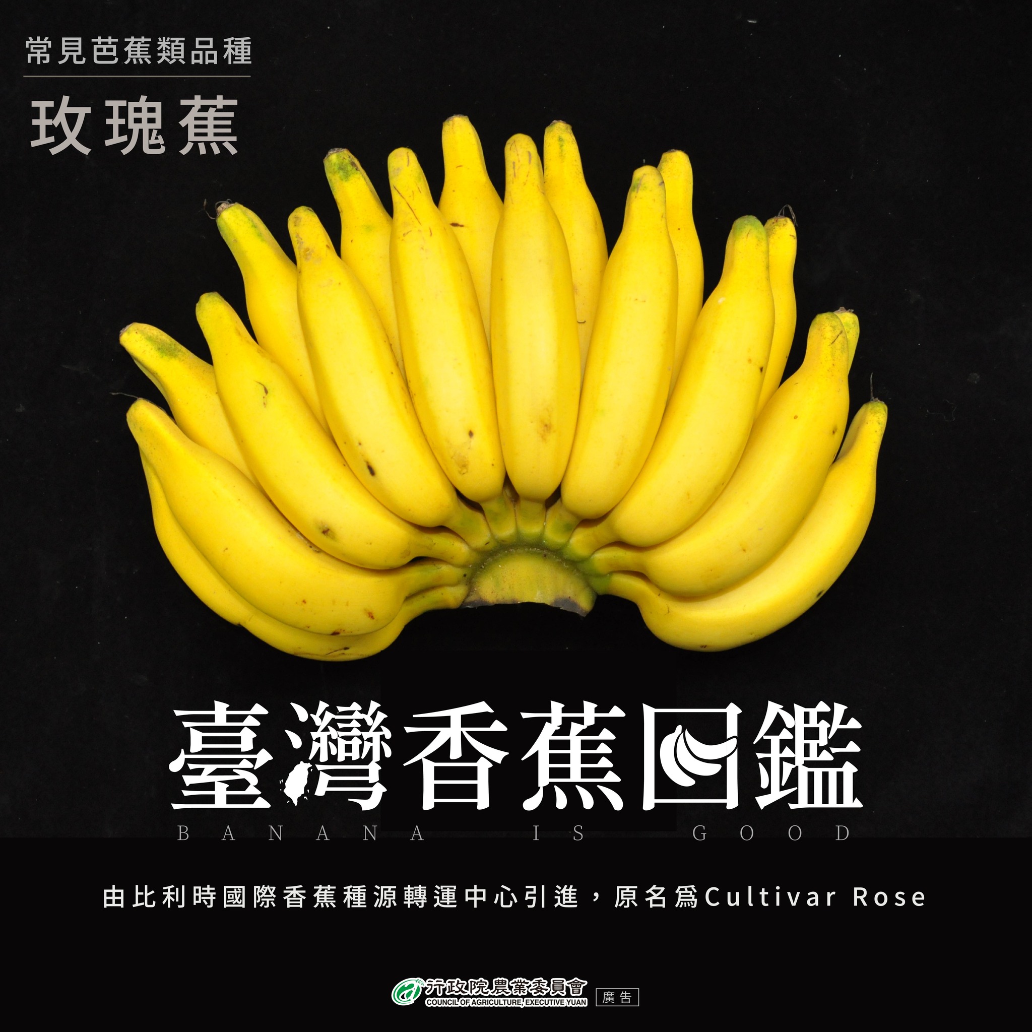 10.南華蕉