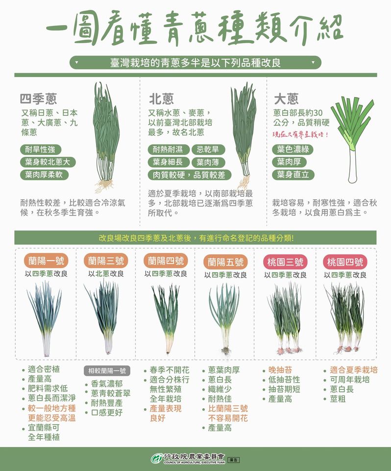 1018一張圖看懂青蔥品種