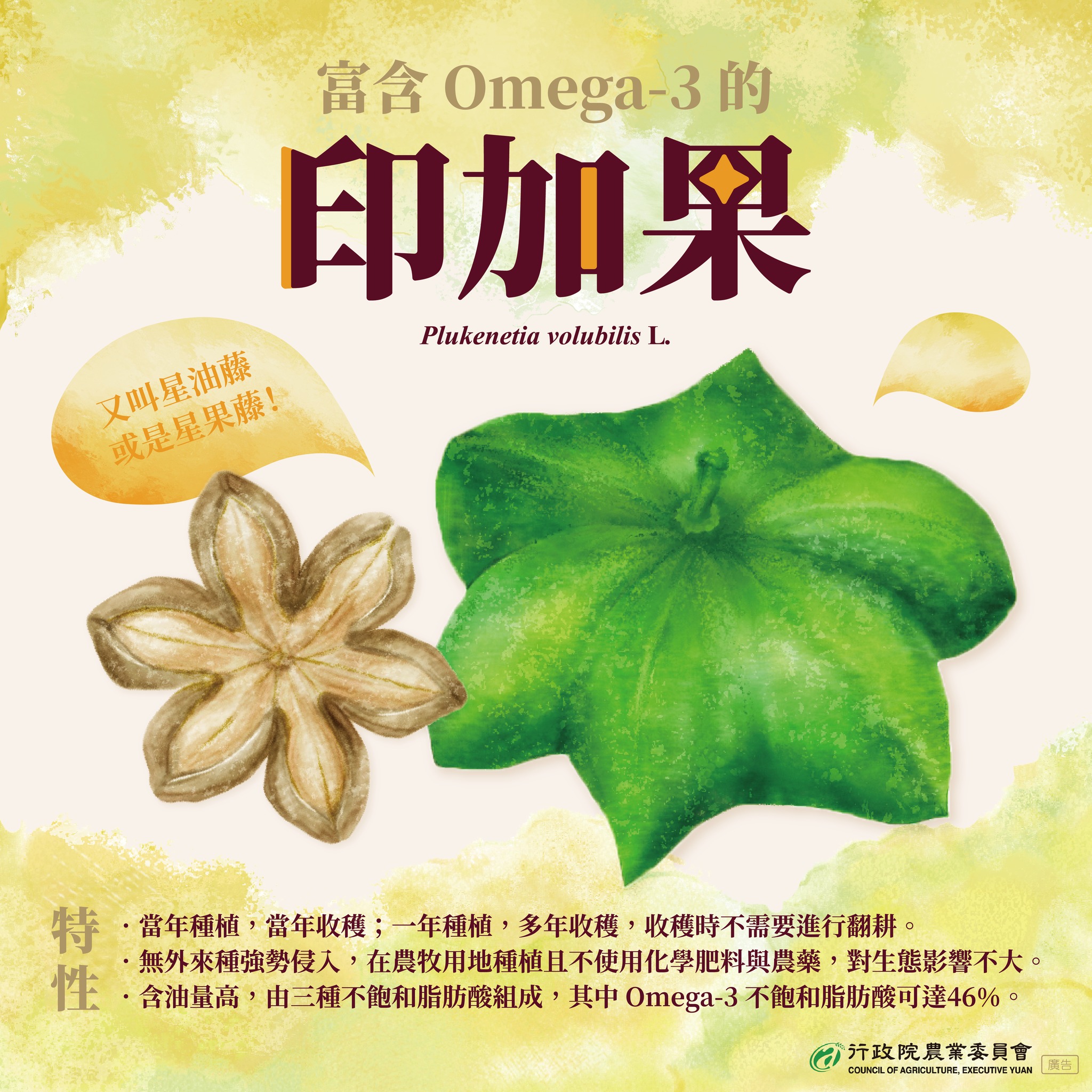 印加果介紹