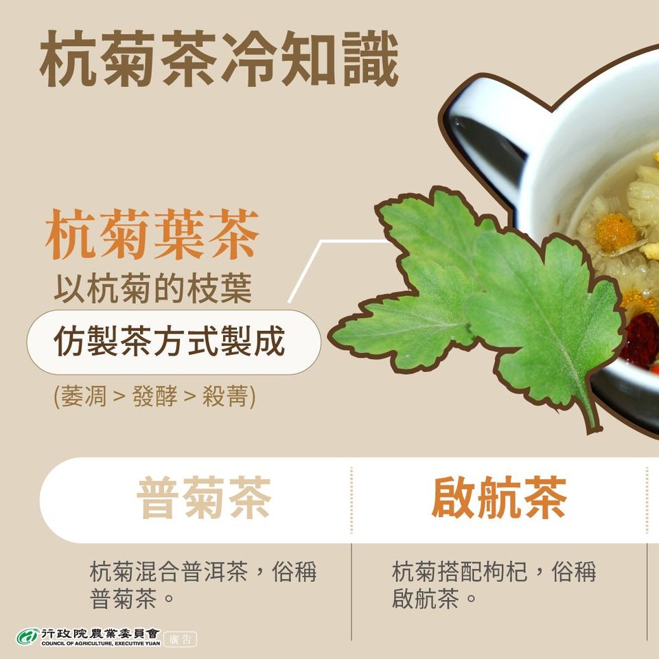 2.杭菊葉茶