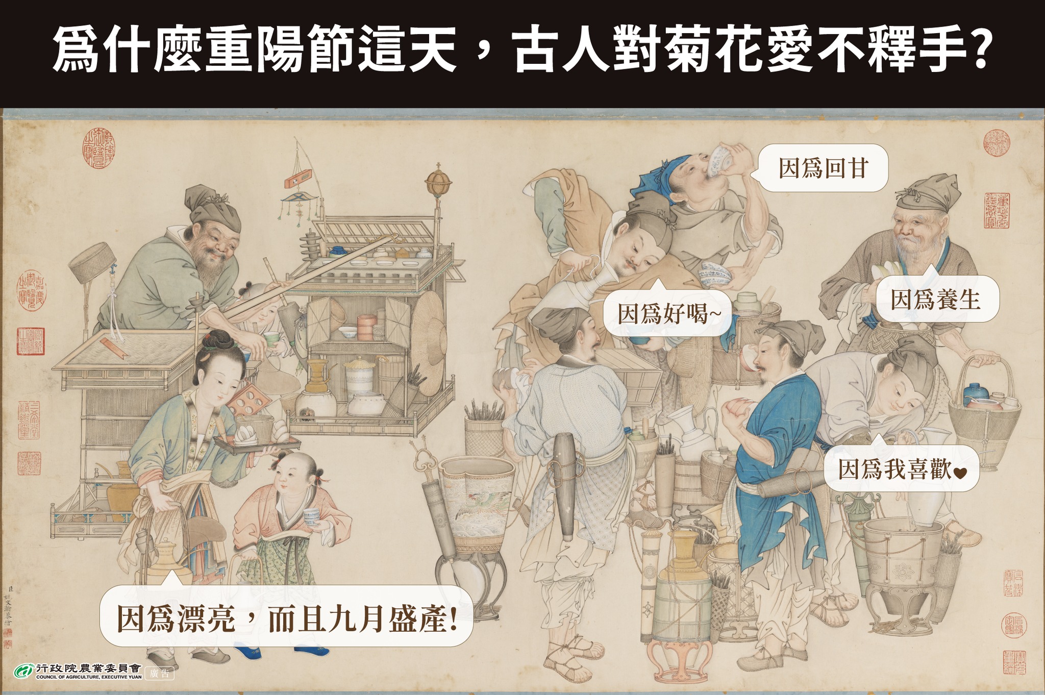 重陽菊花盛開