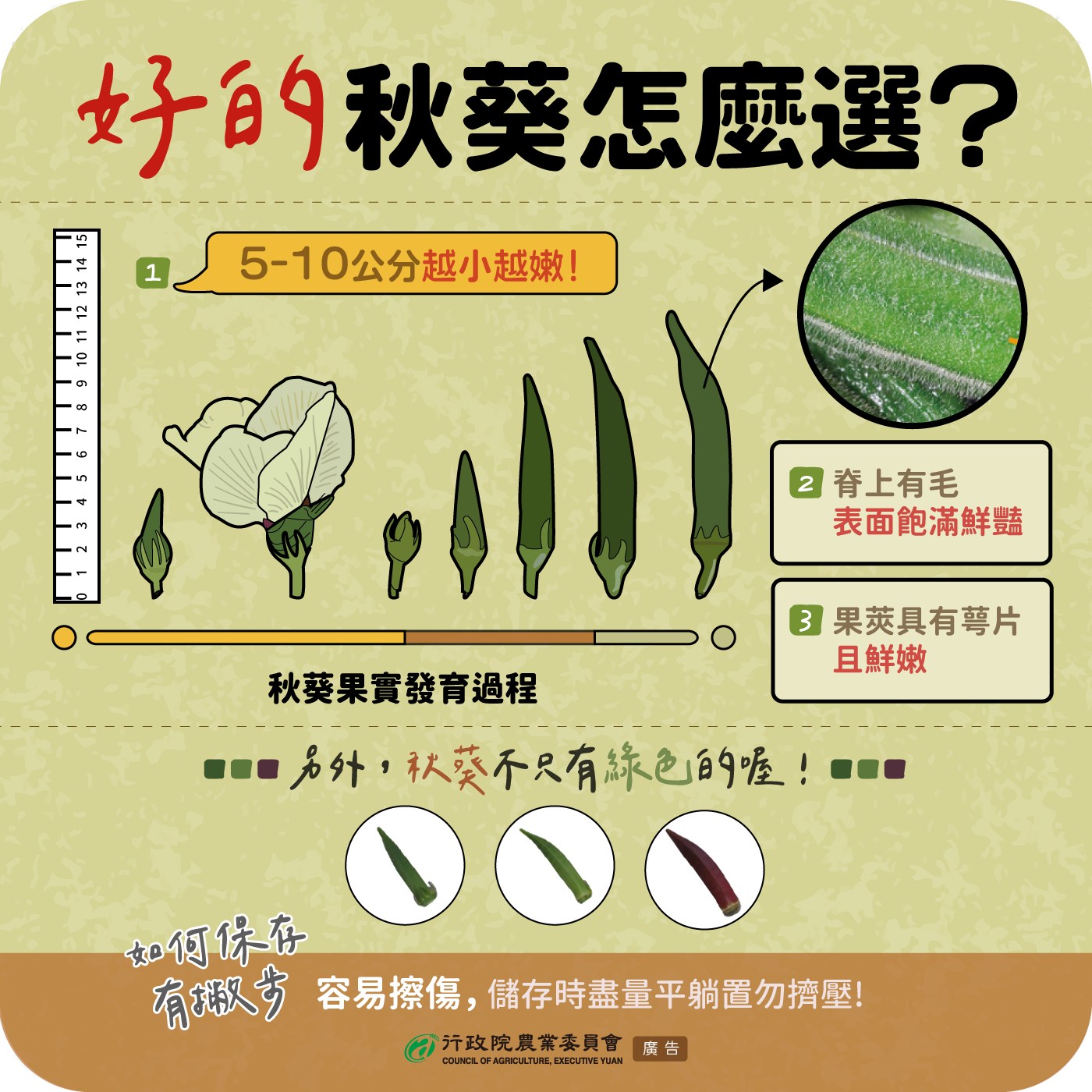 好的秋葵怎麼選呢?