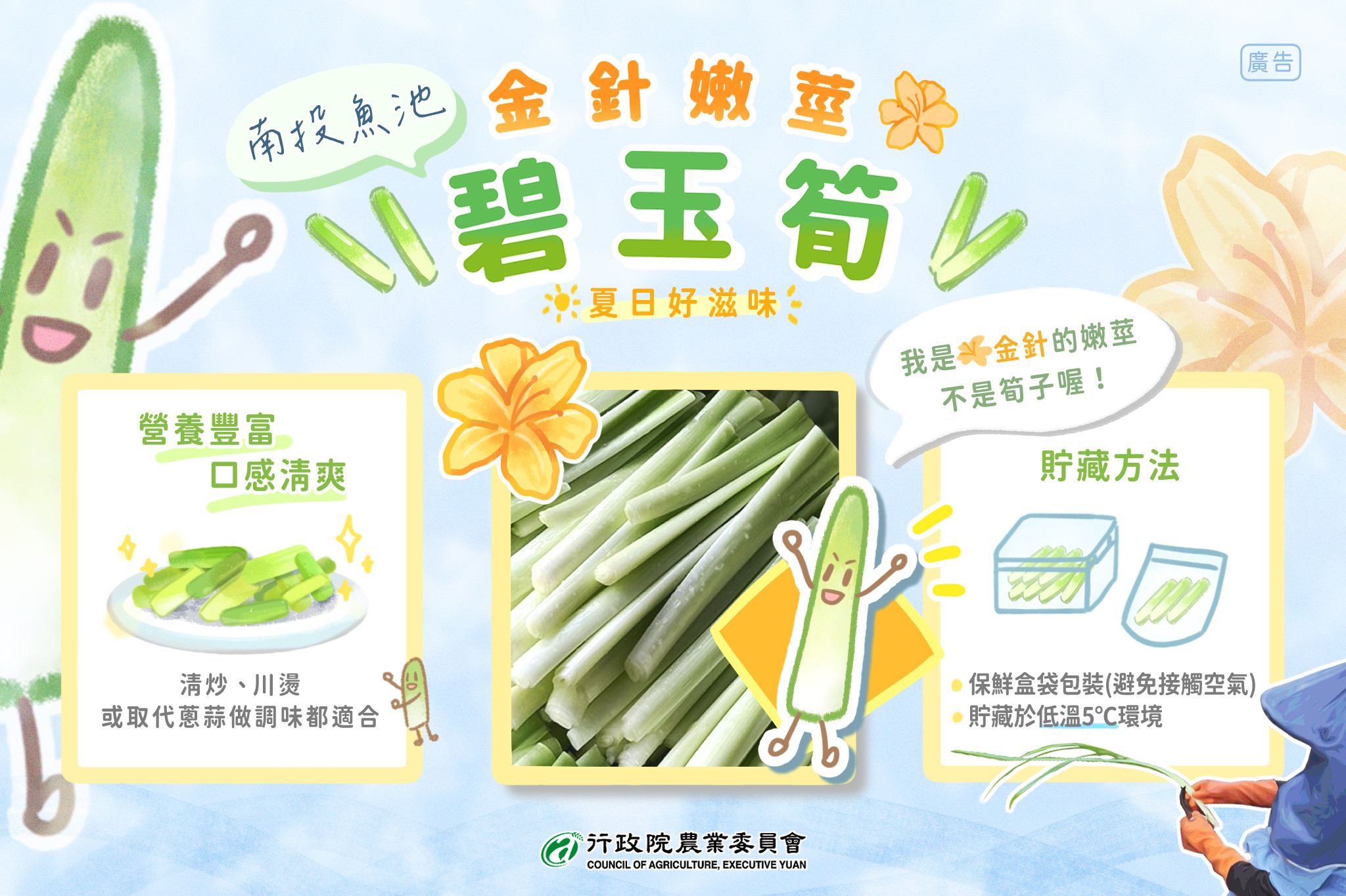 金針嫩莖—碧玉筍