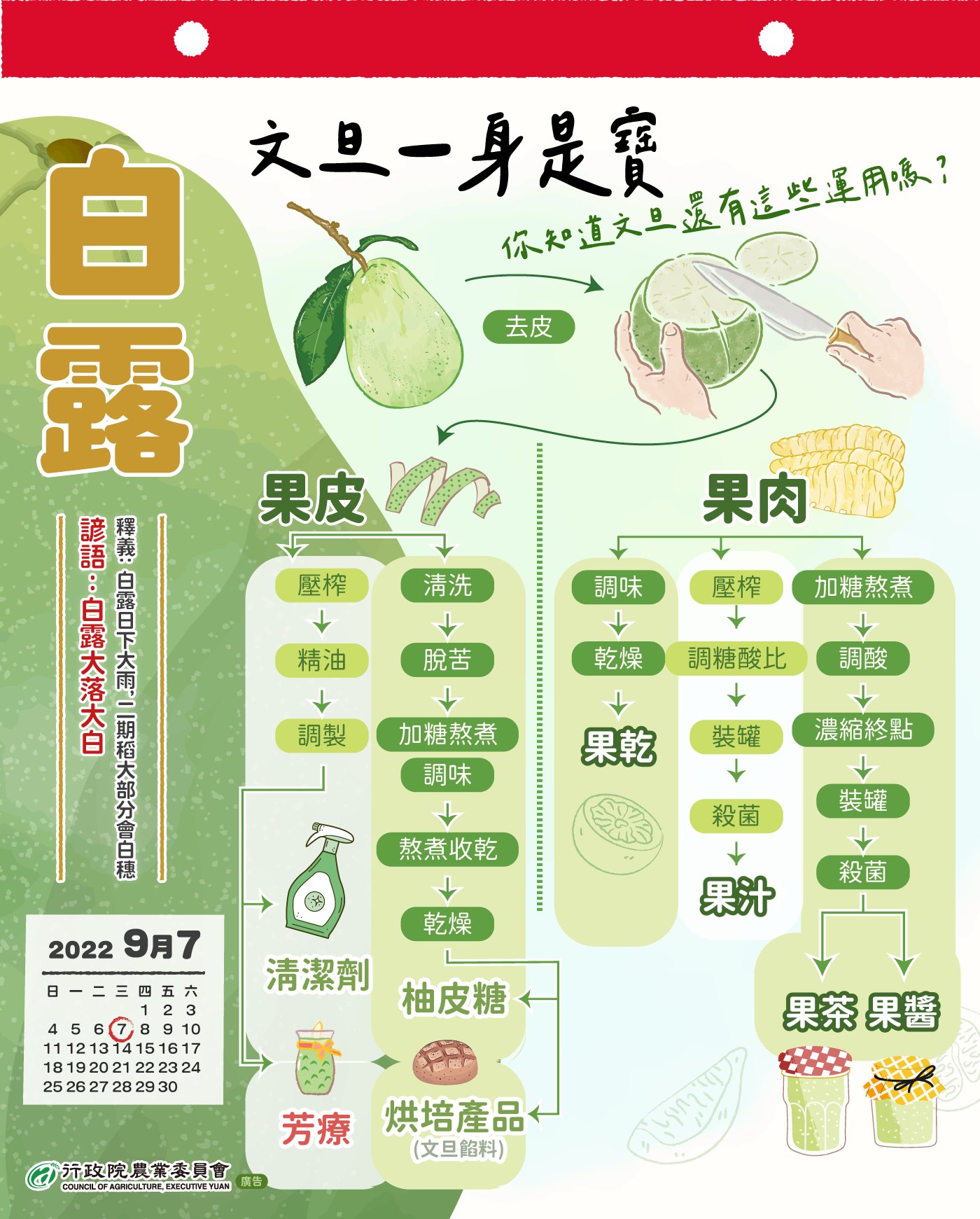 文旦一身是寶